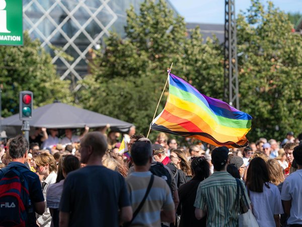 Les avantages des panneaux solaires photovoltaïques pour économiser et respecter l'écologie