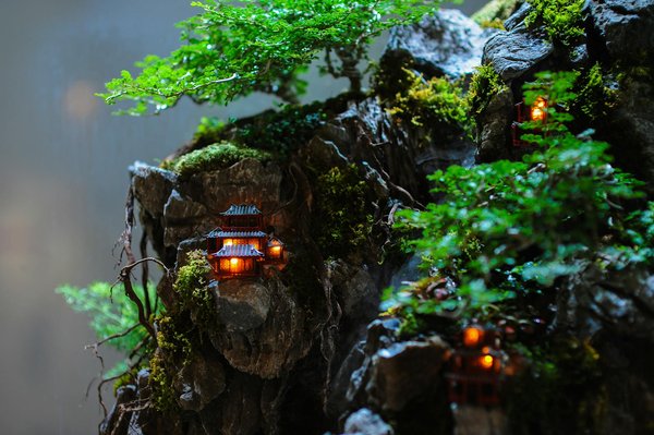 Clients ravis de notre expertise en photo écologie !